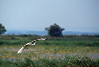 f2l030102