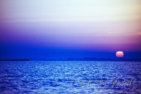 f2l030119