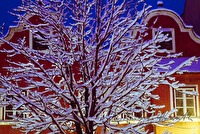 f2l050502