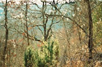 f2l090102