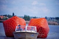 f2l280119