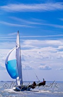 f2l280207