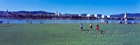 f2r040603