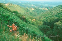 f3l030102