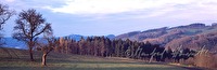 f3r033501