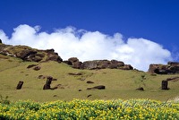 f4l010105