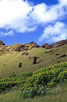 f4l010106