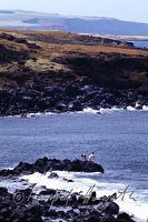f4l010113