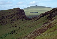 f4l010228