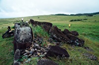 f4l010238