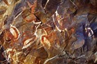 f4l010350