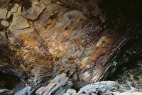 f4l010351