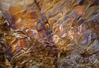 f4l010352