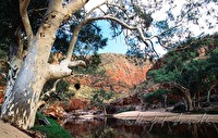 f4l050109