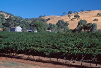 f4l060238