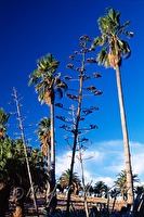 f4l060357