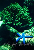 f4l070107