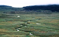 f4l070205