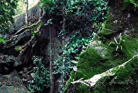f4l070307