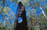 f4l080107