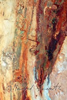 f4l080115