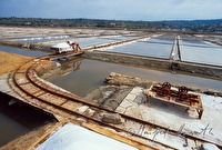 f4l540205
