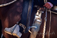 f4l620121