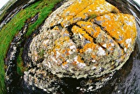 f4l770119