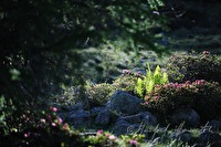 xa0004661