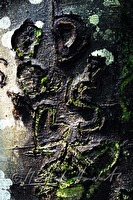 xa0006428