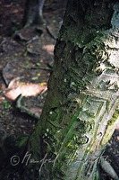 xa0006457