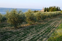 xa0010073