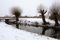 xa0016959