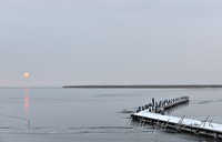 xa0020260