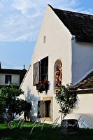 xa0036650