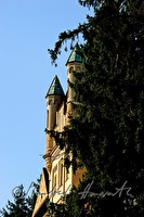 xa0041382