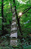 xa0041438
