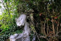 xa0044077