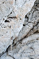 xa0047435