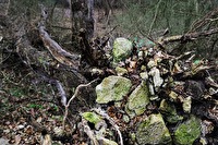 xa0050965