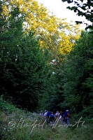 xa0054583