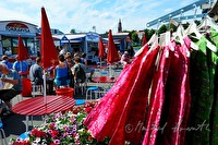 xa0070881