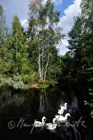 xa0071164