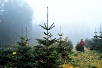 xa0079239