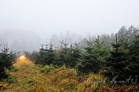 xa0079351