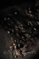 xa0086260