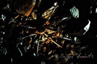 xa0094094