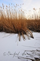 xb0010560