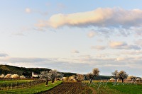 xb0016808