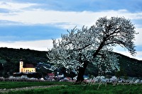 xb0016828